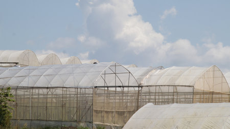White Industrial Greenhouse Structures with Clear Skies and Vegetation in the Foregroundの写真素材