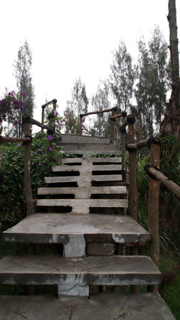 Rustic Stone Staircase with Wooden Railings Covered in Purple Vines Leading to a Garden Surrounded...