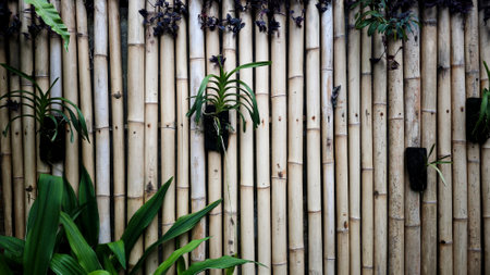 Natural Bamboo Wall with Green Tropical Plants and Orchids Creating a Rustic and Organic Garden Ambienceの写真素材