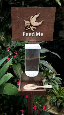 Fish Feeding Station in a Lush Tropical Garden with Wooden Sign Featuring Carved Fish Design Surrounded by Green Foliage and Colorful Flowersの写真素材