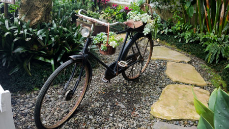 Rustic black vintage bicycle with woven baskets filled with green succulents and hanging plants on a stone garden pathway surrounded by lush tropical foliageの写真素材