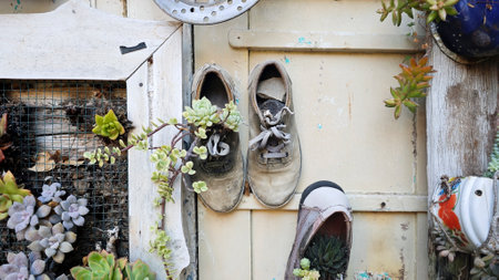 Old shoes repurposed as creative succulent planters against a rustic wooden wall with vintage textures and vibrant greenery.の写真素材