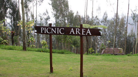 Wooden picnic area sign on a grassy field surrounded by lush greenery and tall trees with a rustic hut in the backgroundの写真素材