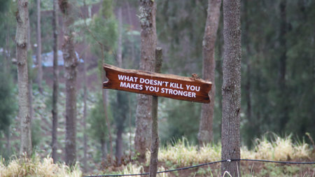 Motivational Wooden Sign with Inspirational Quote in Forest Background with Trees and Natural Surroundingsの写真素材