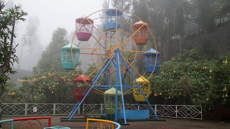 Colorful ferris wheel in a foggy amusement park surrounded by lush greenery and blooming flowersの写真素材