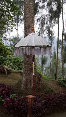 Traditional Balinese Umbrella with Decorative Fringe in a Lush Forest Garden Surrounded by Trees and Plantsの写真素材