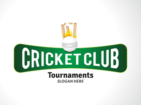 cricket tournament banner with cricket ball vector illustrationのイラスト素材
