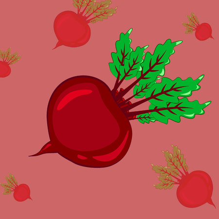 Beet. Isolated vegetables on white backgroundのイラスト素材