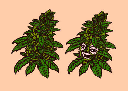 marijuana cannabis bud leaf designのイラスト素材