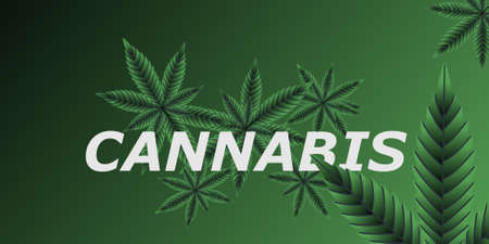 Cannabis Marijuana Background Vector file ready to useのイラスト素材