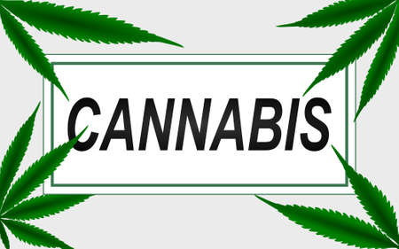 cannabis marijuana background design greenwhiteのイラスト素材