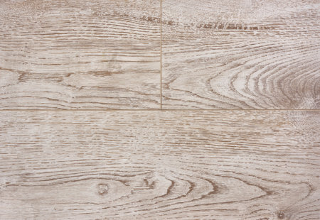 Natural white wood texture background. Wood backgroundの写真素材