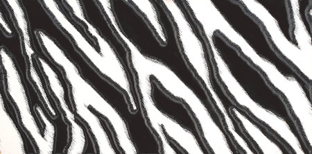 ceramic tile zebra imitation skin. Skin texture backgroundの写真素材