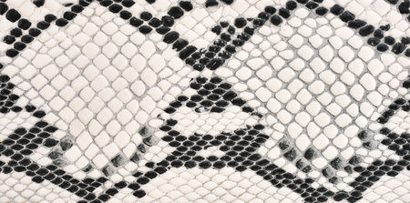 ceramic tile snake imitation skin. Skin texture backgroundの写真素材