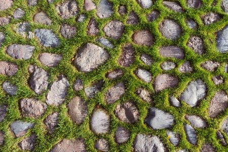 cobble road with grass growing between cobblesの写真素材