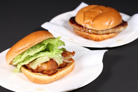 Hamburger and chicken burgerの写真素材