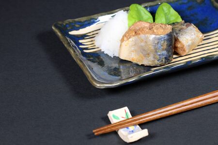 Mackerel simmered in miso, Japanese foodの写真素材