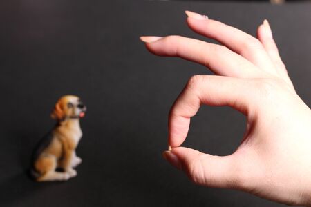 Woman hand in ok signの写真素材