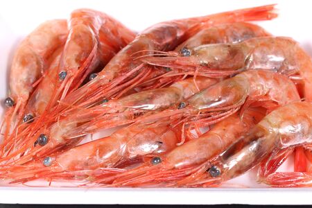 Fresh raw shrimpsの写真素材