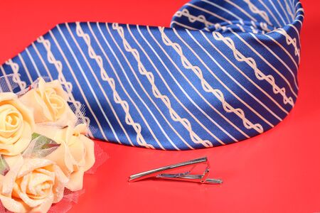 Necktie and tie clipの写真素材