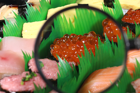 Nigiri sushi and magnifying glassの写真素材