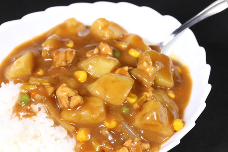 Japanese curry riceの写真素材