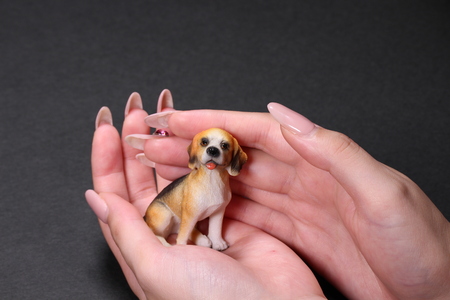 Dog ornament in the palm of handsの写真素材