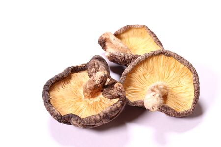 Dried shiitake mushrooms on white backgroundの写真素材
