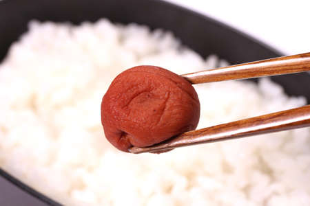 Eating pickled plum of Japanese hinomaru bentoの写真素材