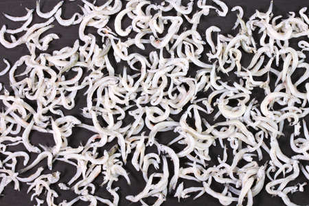 Whitebait, Japanese food Kamaage shirasu close up