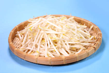 Bean sprouts on a colander on blue backgroundの写真素材
