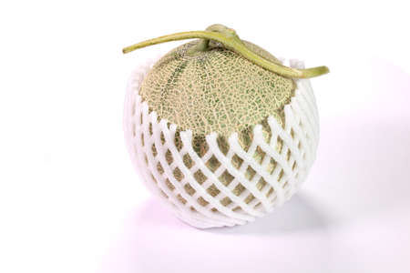 Muskmelon close up on white backgroundの写真素材