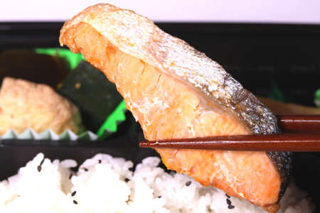 Japanese food Bento of grilled salmon, eating salmon with chopsticksの写真素材