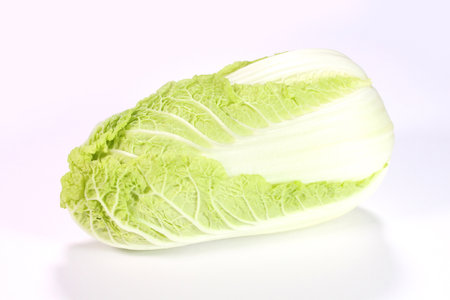 Mini chinese cabbage on white backgroundの写真素材