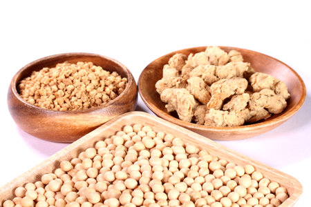 Soybeans and two kinds of  soy meat on white backgroundの写真素材