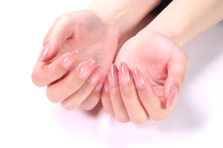 Female hands with pale pink manicure on nails, isolated on whiteの写真素材