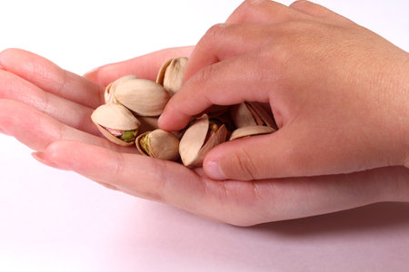 Mother and child hand holding pistachio nutsの写真素材