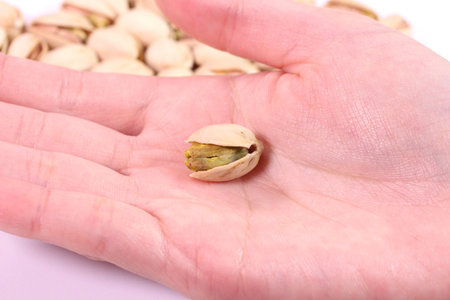 Female hand holding pistachio nut close upの写真素材