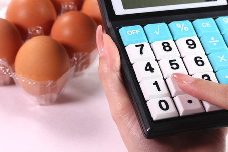 Eggs in a pack, woman using a calculatorの写真素材