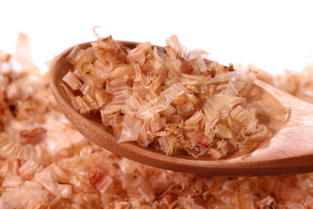 Dried bonito with wooden spoon, close upの写真素材