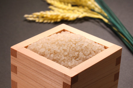 Rice in a wooden box and ears of rice on black backgroundの写真素材