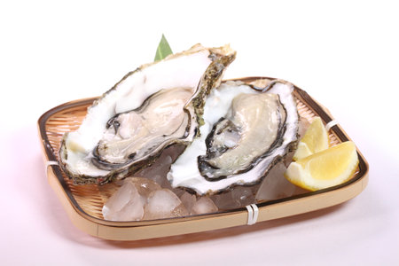 Fresh oysters with lemon on a bamboo colander on white backgroundの写真素材