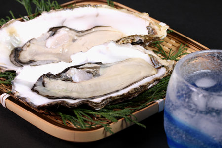 Fresh oysters and a glass of  shochu on black backgroundの写真素材
