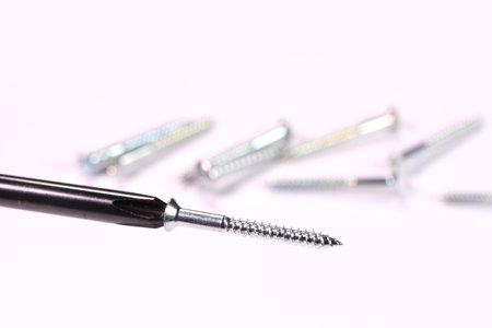 screw that attaches to the screwdriverの写真素材