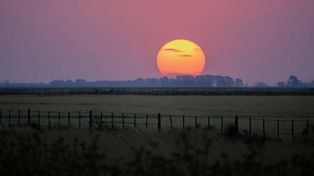 Countryside landscape at sunset where you can see the huge sun hidden behind the trees. There is a grass fieldの写真素材