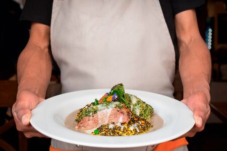 Chef holds a plate with both hands. The dish contains pepper-crusted veal with sweet potato puree and a salad of lettuce and tomato over a brown sauce. Blank apron to place logo, brand, word or phrase.の写真素材