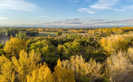 Landscape of a field in autumn. There is a strong yellow tone that make contrast with the rest of the landscape. General Roca, Patagonia Argentinaの写真素材