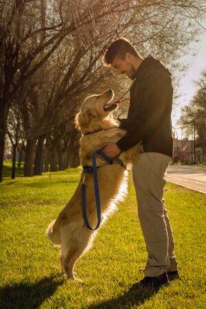 Dog (golden retriever) and man staring at each other in a lovely way. Park background with the daylight and sun rays behind. Vertical Photographyの写真素材