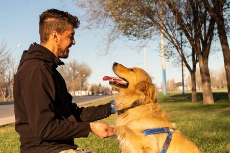 A Golden Retriever dog is shaking hands with his ownerの写真素材