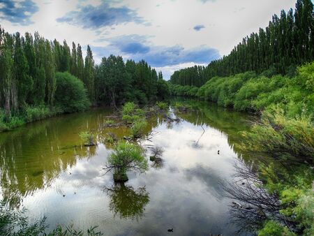 Stream of a river surrounded by vegetation, trees, shrubs and sky reflected on the calm waterの写真素材